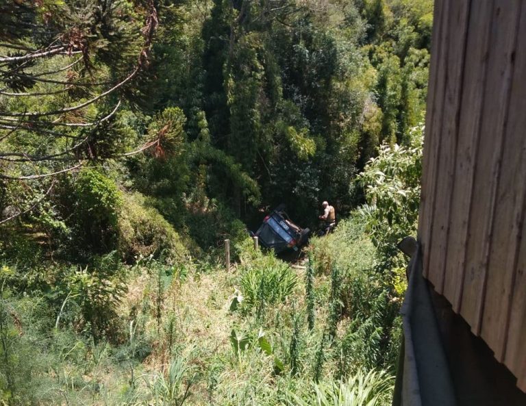 Idoso fica ferido após veículo sair da pista e cair em rio