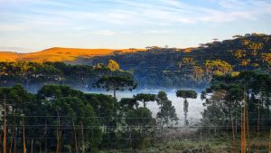 SC amanhece pelo 4º dia seguido com geada e mínima abaixo de 2ºC