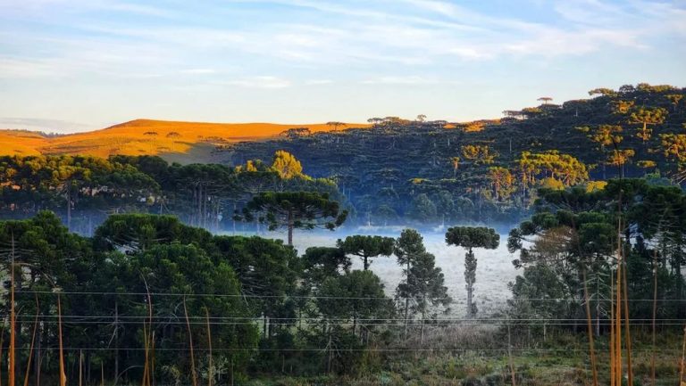 SC amanhece pelo 4º dia seguido com geada e mínima abaixo de 2ºC