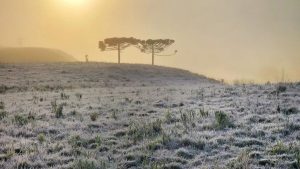 SC amanhece com temperatura abaixo de -6ºC e geada