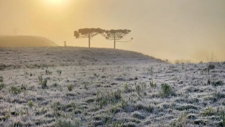 SC amanhece com temperatura abaixo de -6ºC e geada