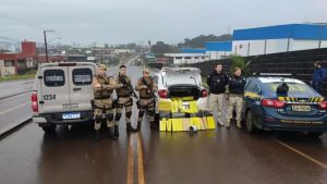 Polícia apreende mais de 200 quilos de maconha no Oeste