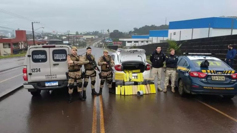 Polícia apreende mais de 200 quilos de maconha no Oeste