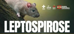 Casos e mortes de leptospirose aumentam em SC