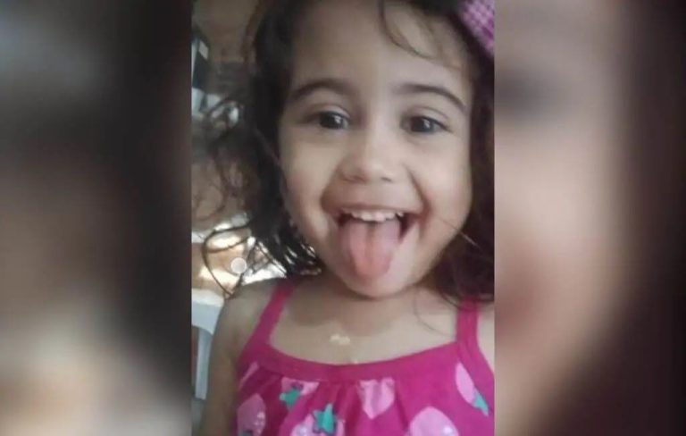 Menina de 4 anos morre após levar choque elétrico em Santa Catarina