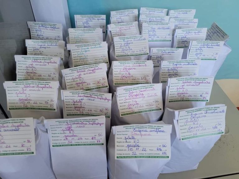 E.E.B. Professora Julieta Lentz Puerta é destaque no projeto “Verde é Vida” da Afubra