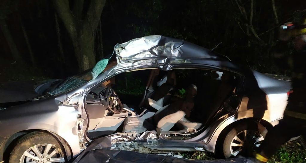 Identificado homem que morreu em colisão de carro em árvore na região