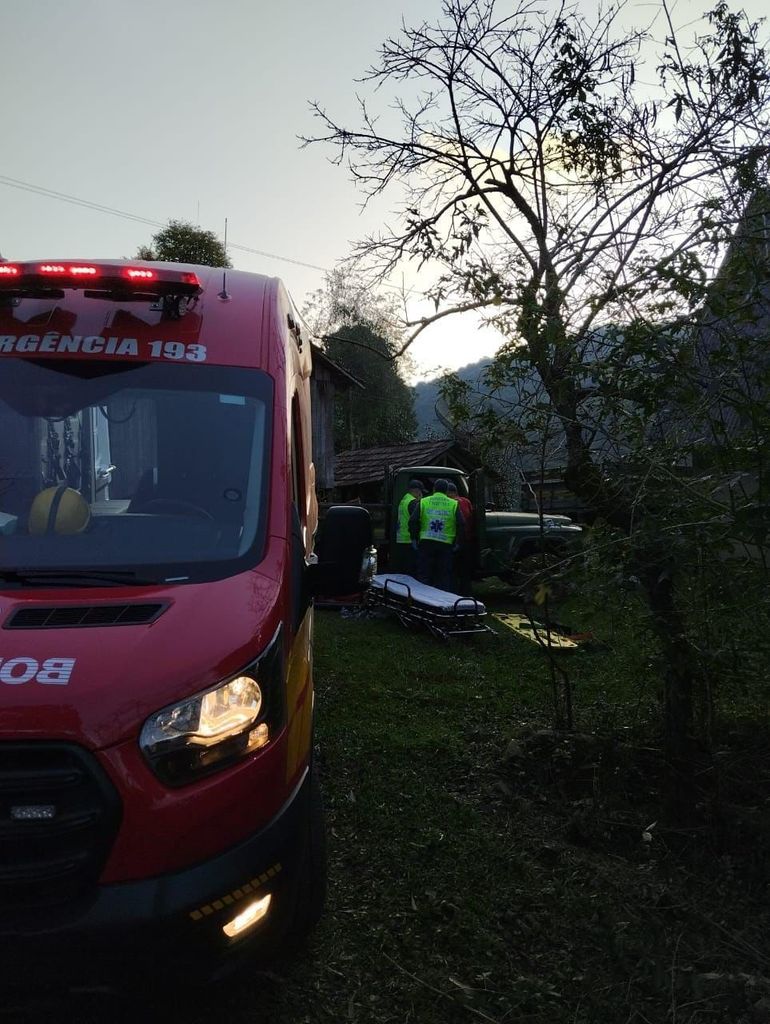 Mulher é atingida por árvore ao tentar proteger o neto no Meio-Oeste