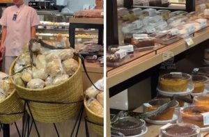 No meio de pães, em cima de cama e no restaurante: por que cobras têm aparecido em áreas urbanas de SC?