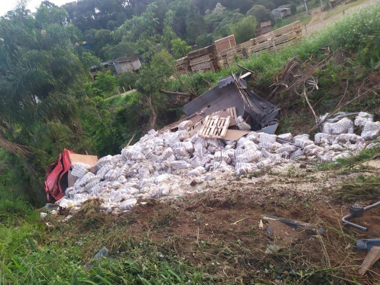 Motorista fica ferido em saída de pista de caminhão na BR-282