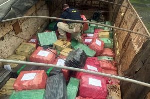 SC tem maior apreensão de maconha de 2023 após polícia encontrar cerca de 7 toneladas da droga em carreta