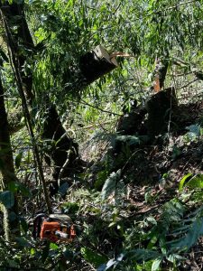 Idoso é encontrado morto em meio a mata após cair em ribanceira no Oeste