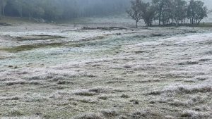 Tendências para o Outono e Inverno:  Expectativa de frio mais intenso e neve para SC