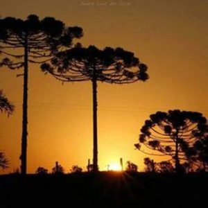 Sol e calor vão marcar os próximos dias em Santa Catarina