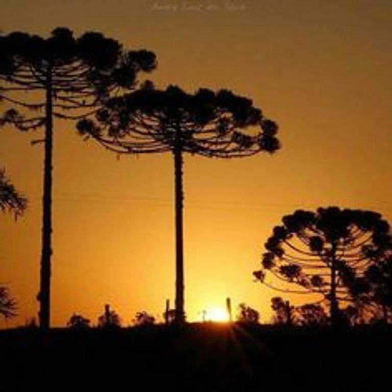 Sol e calor vão marcar os próximos dias em Santa Catarina
