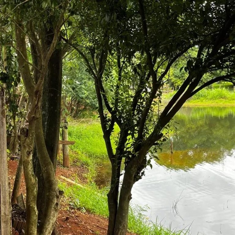 Idosa é encontrada morta dentro de açude no Oeste de SC